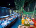 Ozeaneum, Stralsund