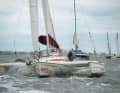 Kats et Tris se sont rencontrés cette année sur la mer du Nord. 140 participants ont joué le jeu, le temps non