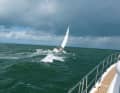 One heels, the other rolls. Test subjects on the way from IJmuiden to Texel