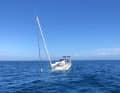 Vor einem Jahr ist eine Yacht nach einem Orca-Angriff vor Viana do Castelo (Portugal) gesunken. Es ist nicht der einzige Fall, bei dem die Schwertwale ein Schiff auf Tiefe schickten