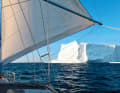 Sleeping giant. A white colossus drifts silently and majestically past the "Freydis"