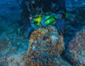 Wreck found off Antikythera