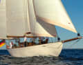 The sailing characteristics of the cruiser yacht are described as extremely good-natured