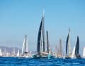 Start der ARC 2023, hier als Erste die Gruppe der Multihulls