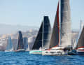 Cats from all renowned large and small shipyards are at the start