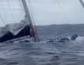 Die Arcona 460 "IdaLina" sank nach einem Schaden am Ruderschaft in den Pazifik