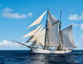 Gaff schooner "Avontuur": over 100-year-old two-master that regularly brings coffee, cocoa and rum from the Caribbean to Holland