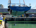 The propeller is mounted on a conventional shaft system, parts of the transom and the aft deck form the bathing platform