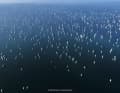 ...the upwind course.