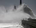 For the Transat Café L'Or, Jean-Marie Liot...