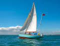 Instead of gaff rig: mizzen mast without mizzen, but only for a staysail on rough courses. Rose had the rig heavily overhauled