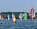 Die Aphrodite ist vor allem am Bodensee stark vertreten