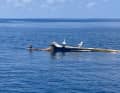 The sailors encounter numerous pieces of driftwood on their way across the Pacific.
