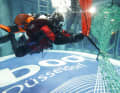 Le dimostrazioni sulla sicurezza si svolgono anche nella torre di immersione del "Dive Centre".
