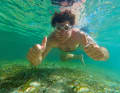 Durante lo snorkeling, si può avere la fortuna di avvistare banchi di pesci tra le fanerogame del fondo.