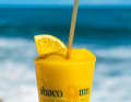 Cocktail sulla veranda del "Nipper's Beach Bar" a Great Guana Cay