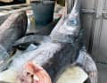 Overfishing, ...
