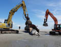 L'entreprise qui a récupéré la baleine à bosse a dû faire appel à de l'équipement lourd.