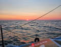 Natural beauty from on board the then second-placed "Amarris"