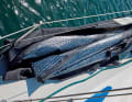 Beaucoup de voiles ont besoin de beaucoup d'espace de rangement. Les Code Zero, en particulier, sont encombrants.  Des sacs à voile spéciaux permettent de les stocker facilement sur le pont. Contrairement au gennaker, la toile supporte l'humidité et peut donc passer tout le week-end dehors.