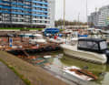 The devastation in Damp
