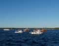 Armada of boats on the hunt for dolphins | Lynn Benda/GRD