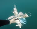 Eine französische Umwelt-NGO im Mittelmeer zeigt Masken und Handschuhe, die den Meeresboden verschmutzen