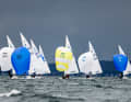Kites before the wind