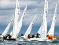 The kites at the windward mark