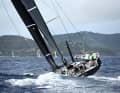 Von Rennmaschinen bis zu Charterbooten: Die Bandbreite an Bootstypen, die bei der Antigua Sailing Week an den Start gingen, war groß. Unter ihnen war auch die "Pyewacket" des US-Amerikaners Roy Disney.