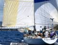 Le 79 pieds Sparkman & Stephens "Kialoa III" comptait parmi les classiques de la course.
