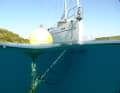 Yacht on mooring buoy. This prevents anchors from digging up the sensitive seabed in places