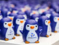 This year's mascot for the young sailors is called "Skippi"