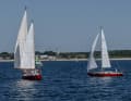 The "Joshua", Bernard Moitessier's ship, was also at the start of the second Longue Route in Lorient.