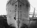Each plank of the bow was made from a whole oak tree. Constructed in such a stable and pointed manner, the polar ship was able to withstand the ice while travelling