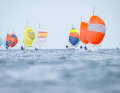 Colourful FD field on the fjord horizon