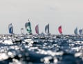 Peter-Gast-Schifffahrtsregatta-Feld unter Spinnaker
