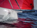 Speciality of the brand: The trunk is extended from the fixed bowsprit, which in turn carries the tensile load of the Code Zero