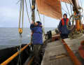 Paying guests are free to actively help with or steer the deck work