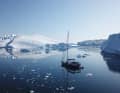 Entre icebergs et banquise : Trois équipages internationaux ont navigué dans le passage du Nord-Ouest durant l'été 2024.