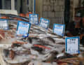 Frisch aus dem Meer: Der Fischmarkt in Pothia