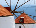 Weiße Windmühlen vor blauem Meer: Griechenland pur.