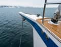 The bowsprit is glued and bolted. An integrated seawater pump cleans the chain