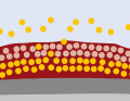 Hard antifouling: The biocides are bound in a resin system. It is mechanically very resilient and is suitable for trailer boats and in tidal areas. Over the course of the season, the active substances wash out and the protection slowly wears off. The empty resin matrix remains on the hull and must be sanded off in winter