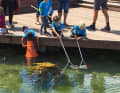 Spannendes Naturerleben: Von der neuen Steg-Plattform des Outdoor-Aquariums in Helsingør können Kinder Krebse und Fische erforschen