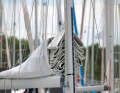 Mainsails will wear out at the front if only the lazy bag is closed and more protection is dispensed with