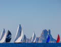 The light wind could not stop the large field of participants