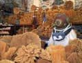Kalymnos is the island of the sponge divers. There is also an exciting museum there that provides an insight into the life-threatening work of these people