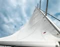 Downhaul too loose, the profile twists and is destroyed