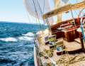 Fantastic sailing conditions